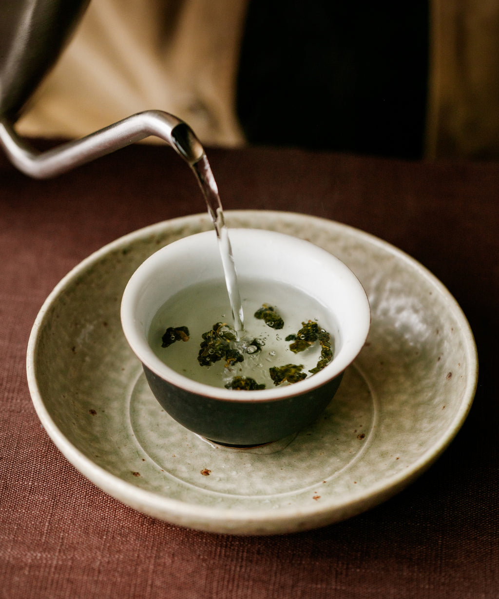Brewing Alishan High Mountain oolong in gaiwan — hot water over tightly rolled leaves, 8 infusions