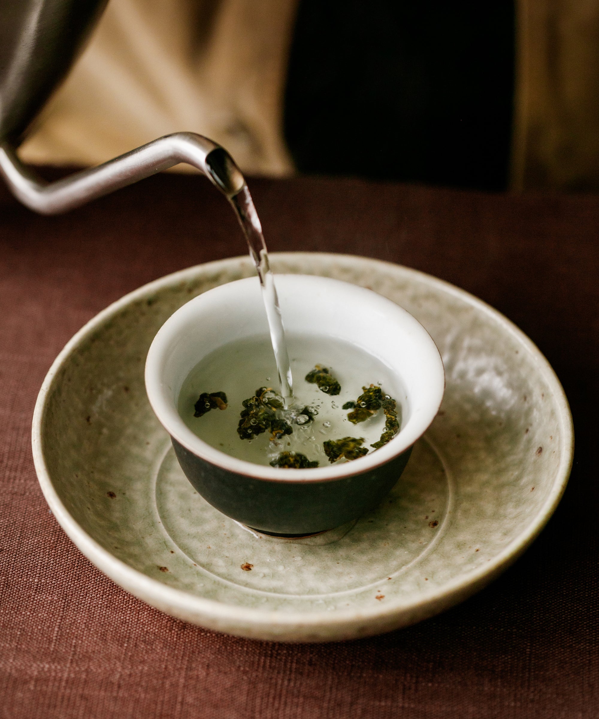 Brewing Alishan High Mountain oolong in gaiwan — hot water over tightly rolled leaves, 8 infusions