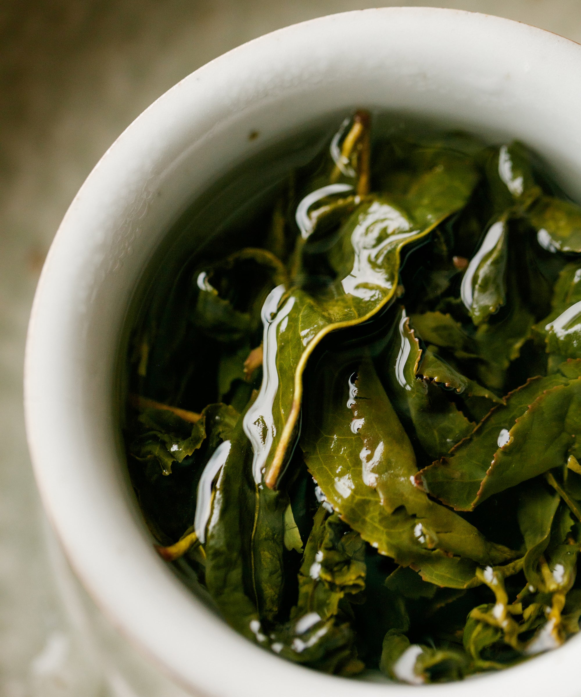 Alishan High Mountain oolong wet leaves unfurled after brewing — robust wakame-like whole leaves showing stem structure