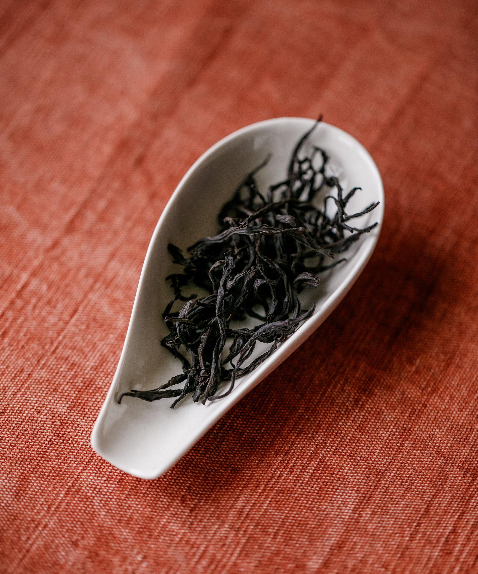 Red Jade — Li Qifeng's Taiwanese Black Tea No. 18, Nantou