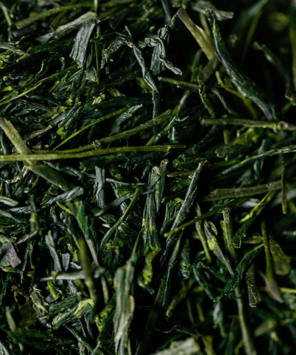 Yame Handcrafted Gyokuro Kyoku - hand-picked, hand-crafted gyokuro from Yame, Fukuoka