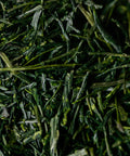 Yame Handcrafted Gyokuro Kyoku - hand-picked, hand-crafted gyokuro from Yame, Fukuoka