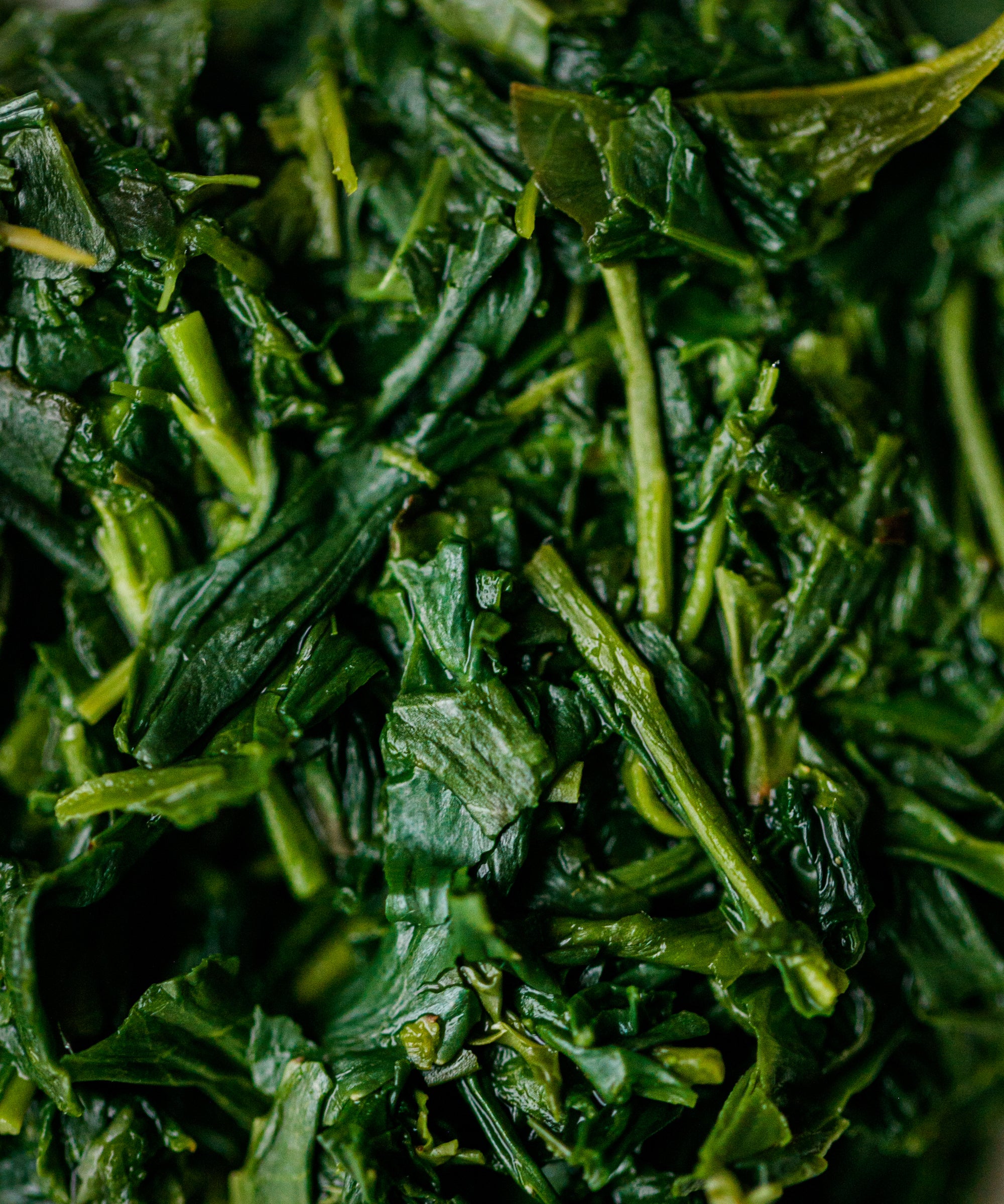 Wet Yame Gyokuro Kyoku leaves after brewing, showing vibrant stems