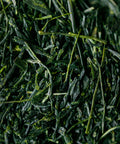 Yame Gyokuro Mei leaves from Yame, Fukuoka - shade-grown traditional gyokuro