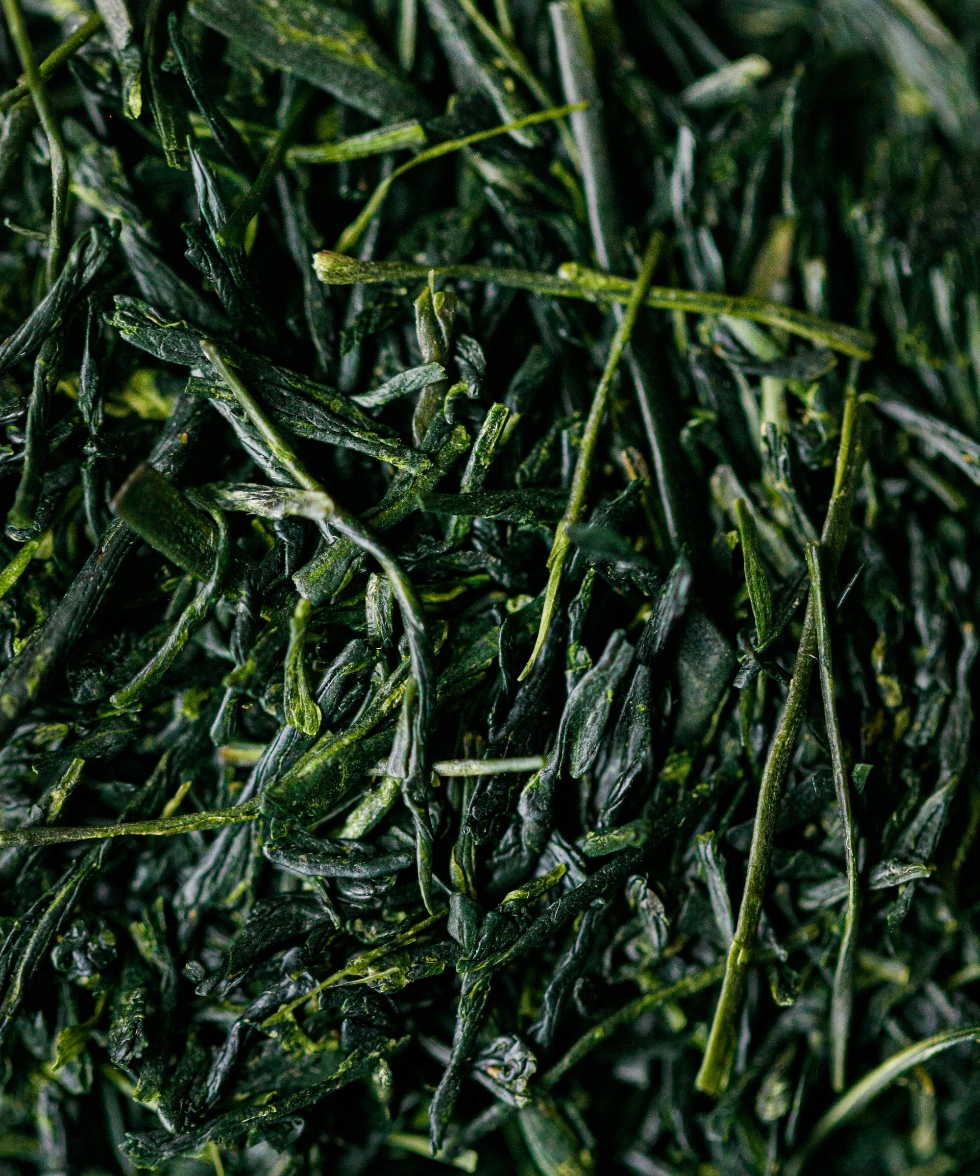 Yame Gyokuro Mei leaves from Yame, Fukuoka - shade-grown traditional gyokuro