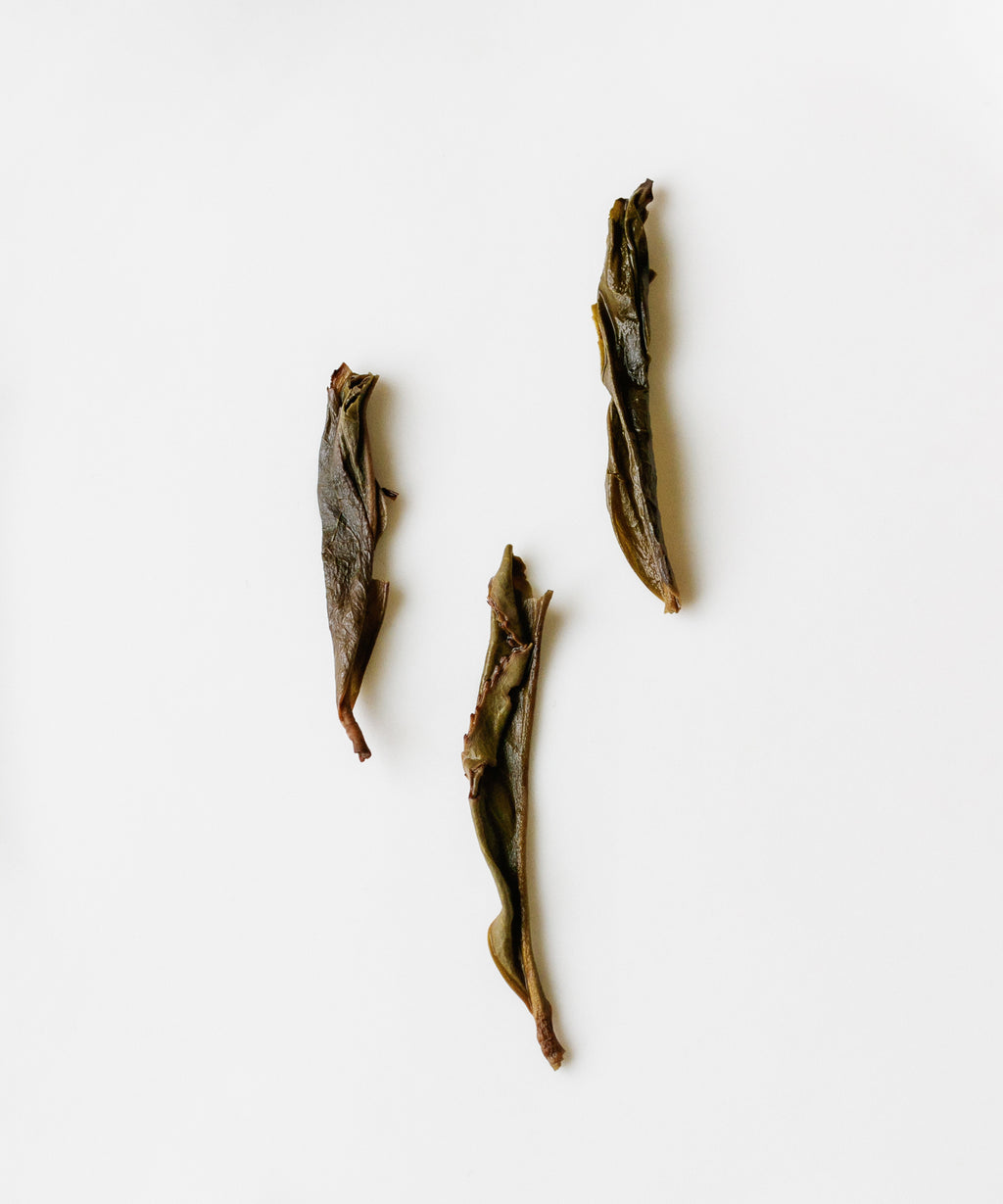 Yi Yi Rice Phoenix oolong from Wudong and Da'an, Chaozhou, Guangdong, with caramelized floral aroma