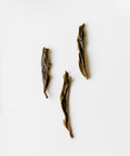 Yi Yi Rice Phoenix oolong from Wudong and Da'an, Chaozhou, Guangdong, with caramelized floral aroma
