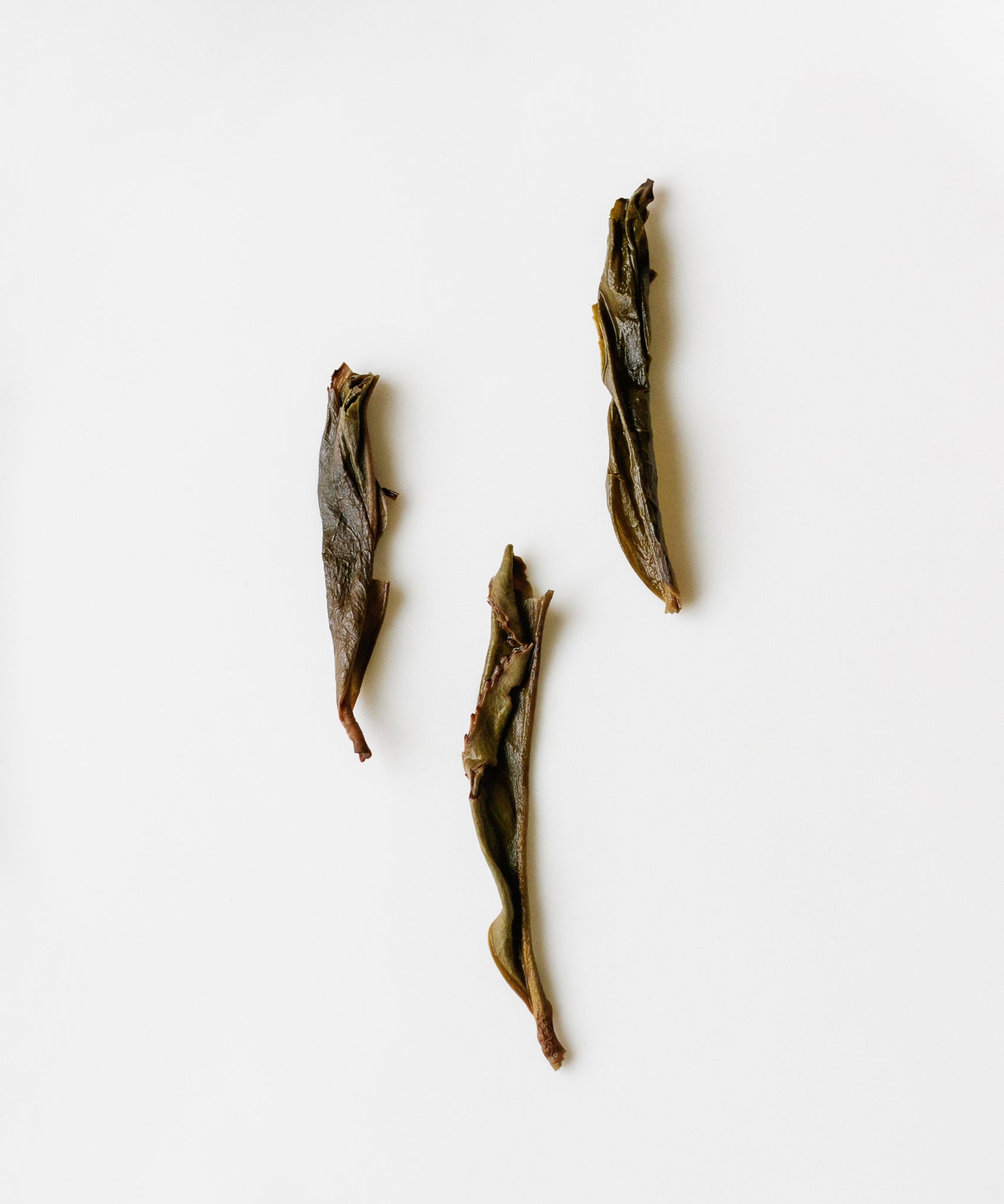Yi Yi Rice Phoenix oolong from Wudong and Da'an, Chaozhou, Guangdong, with caramelized floral aroma