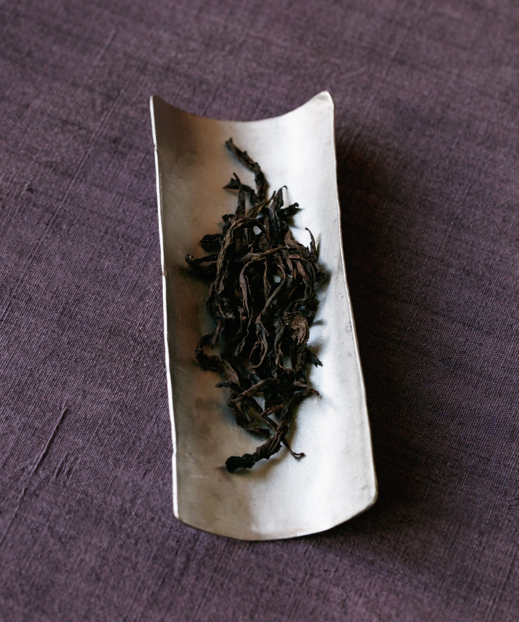 Gold Peony oolong dry leaves on white dish — Tieguanyin × Golden Cassia varietal from Bishi Cliff, Wuyishan