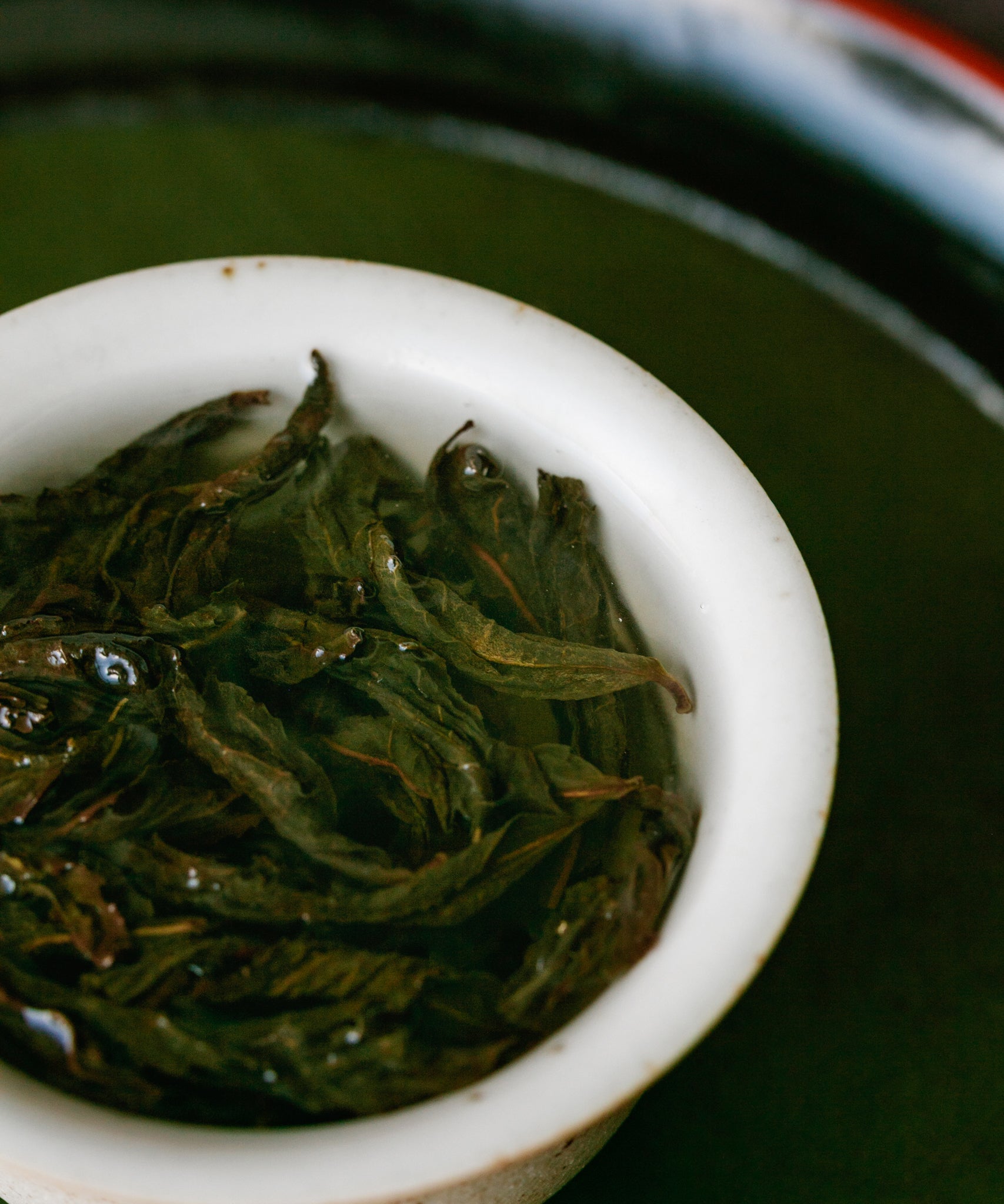 Gold Peony oolong wet leaves after brewing — charcoal roasted true cliff rock oolong, aged 1 year