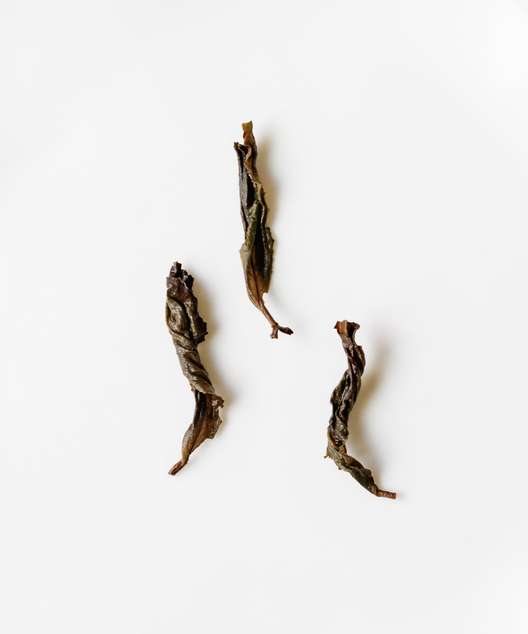 Gold Peony true cliff rock oolong from Jade Stone Cliff — charcoal roasted Wuyi oolong with cacao and peach notes