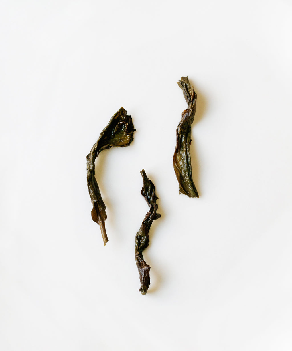 Yashixiang Duck Shit Phoenix oolong from Wudong Mountain, Chaozhou, with camphor, incense, and lychee notes