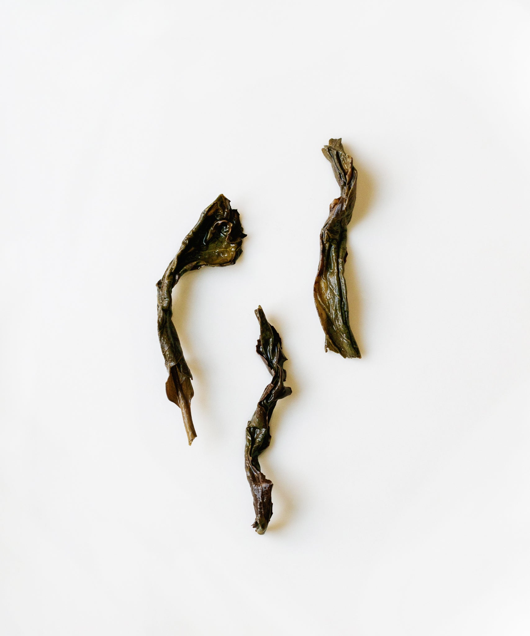 Yashixiang Duck Shit Phoenix oolong from Wudong Mountain, Chaozhou, with camphor, incense, and lychee notes