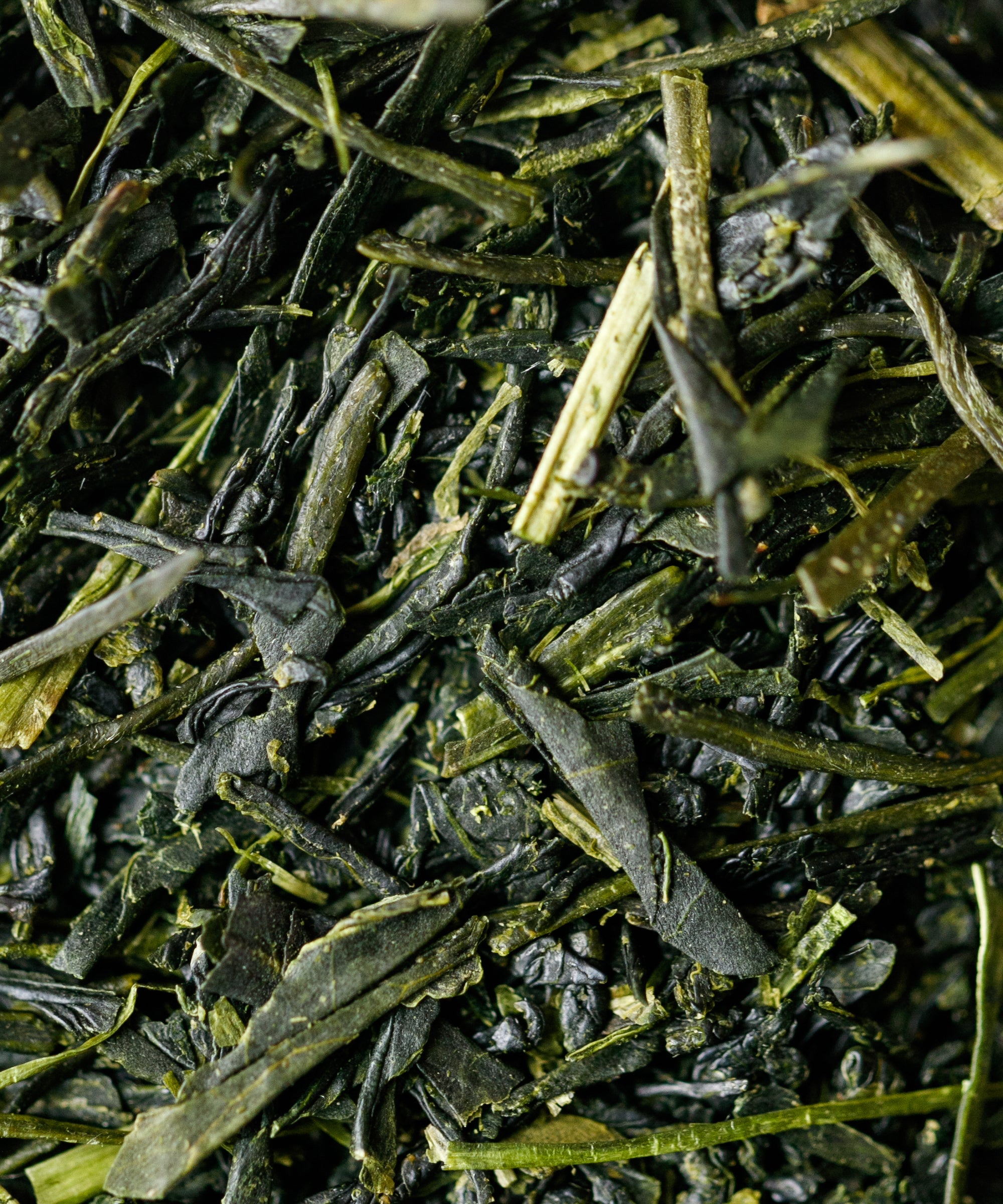 Yame Sencha Yamakiri by Kakuda Seicha — everyday sencha from Oku-Yame, Fukuoka