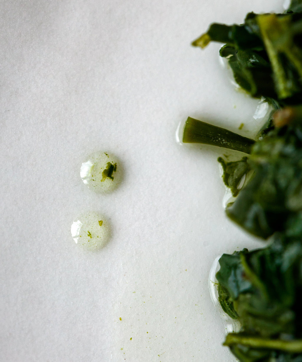 Yamakiri wet leaves — Kakuda Seicha everyday sencha from Oku-Yame, Fukuoka