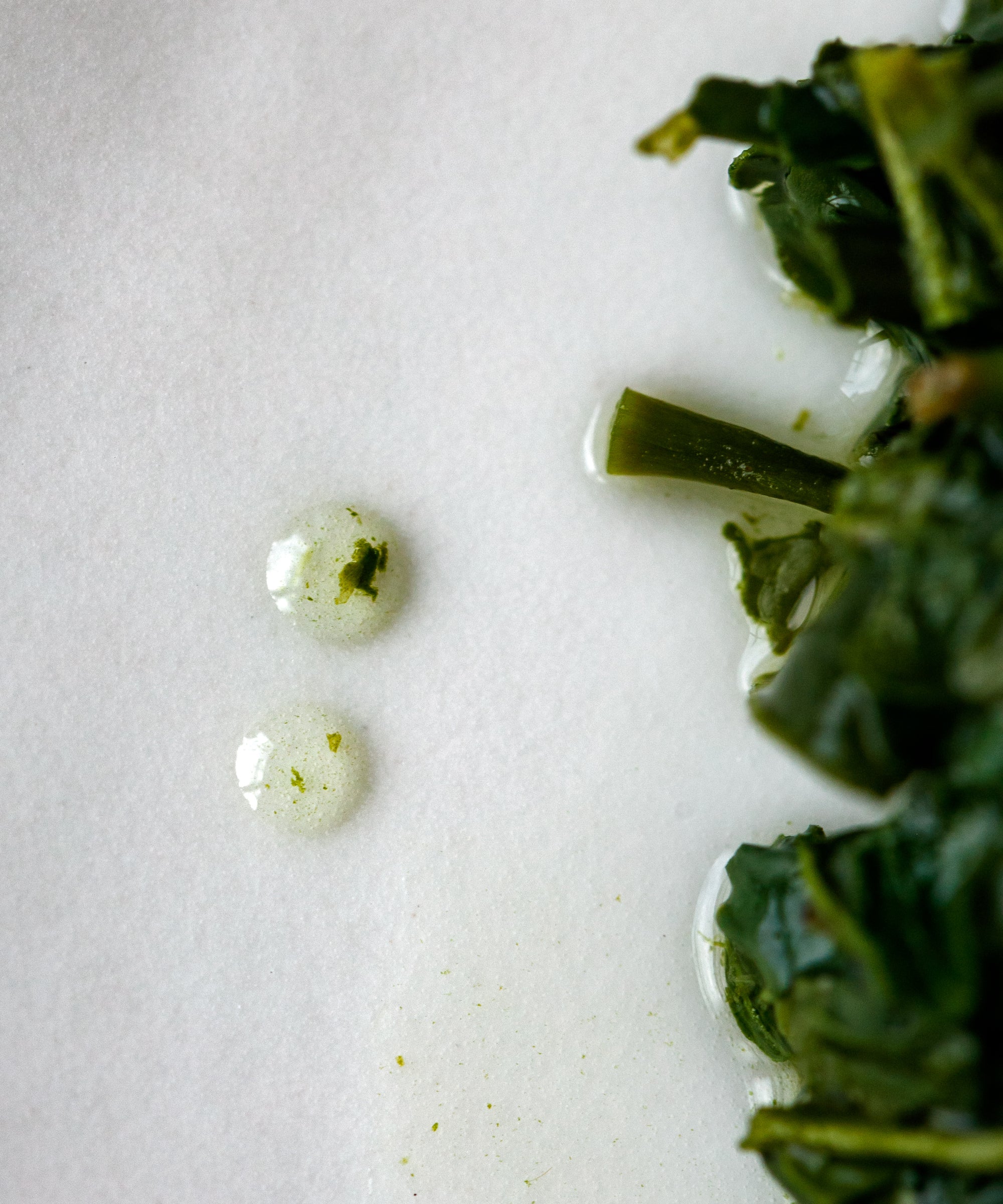 Yamakiri wet leaves — Kakuda Seicha everyday sencha from Oku-Yame, Fukuoka