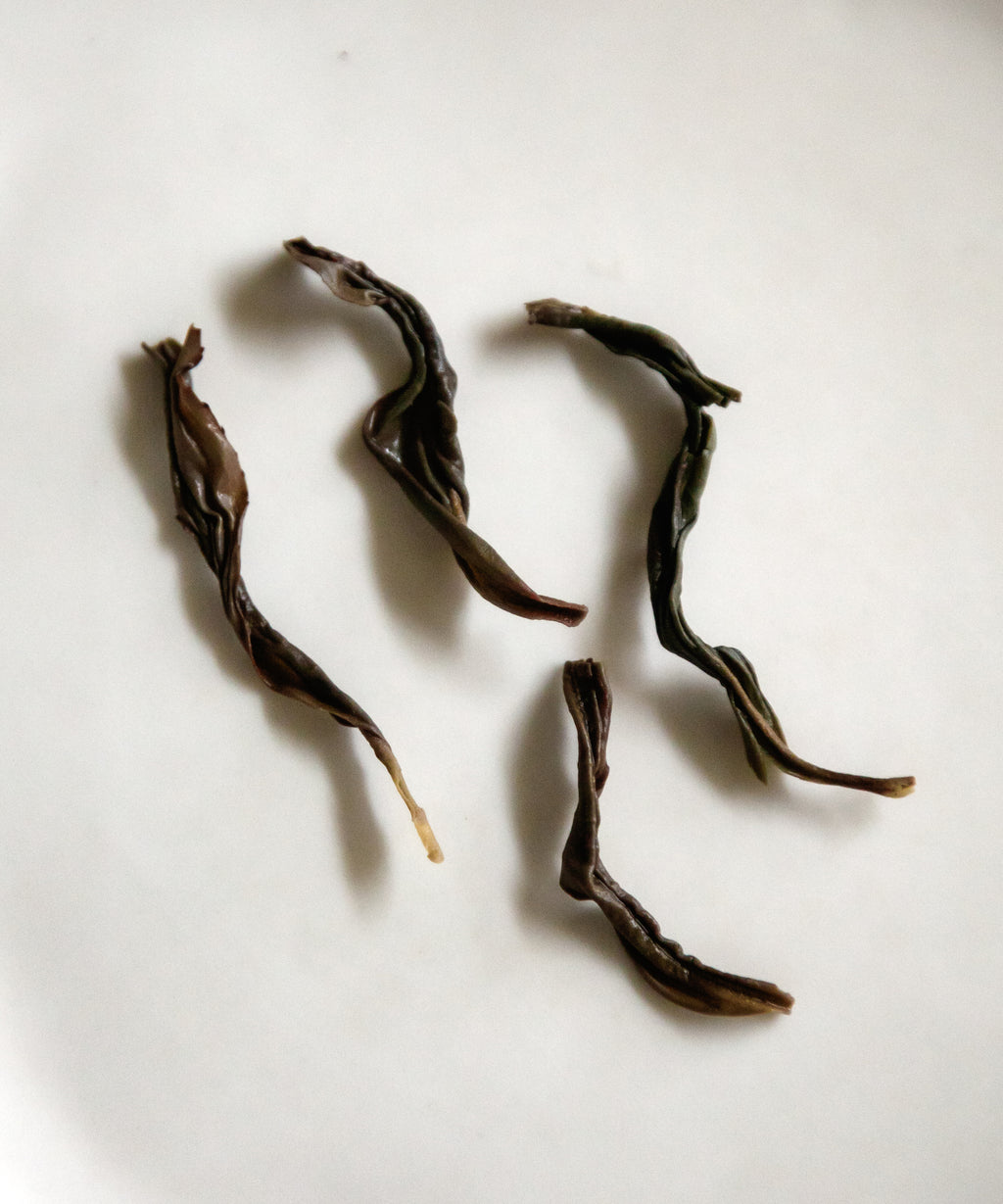 Old Grove Lingtou Baiye Phoenix oolong from Lingtou Village — old grove dancong with honey and floral notes, Chaozhou