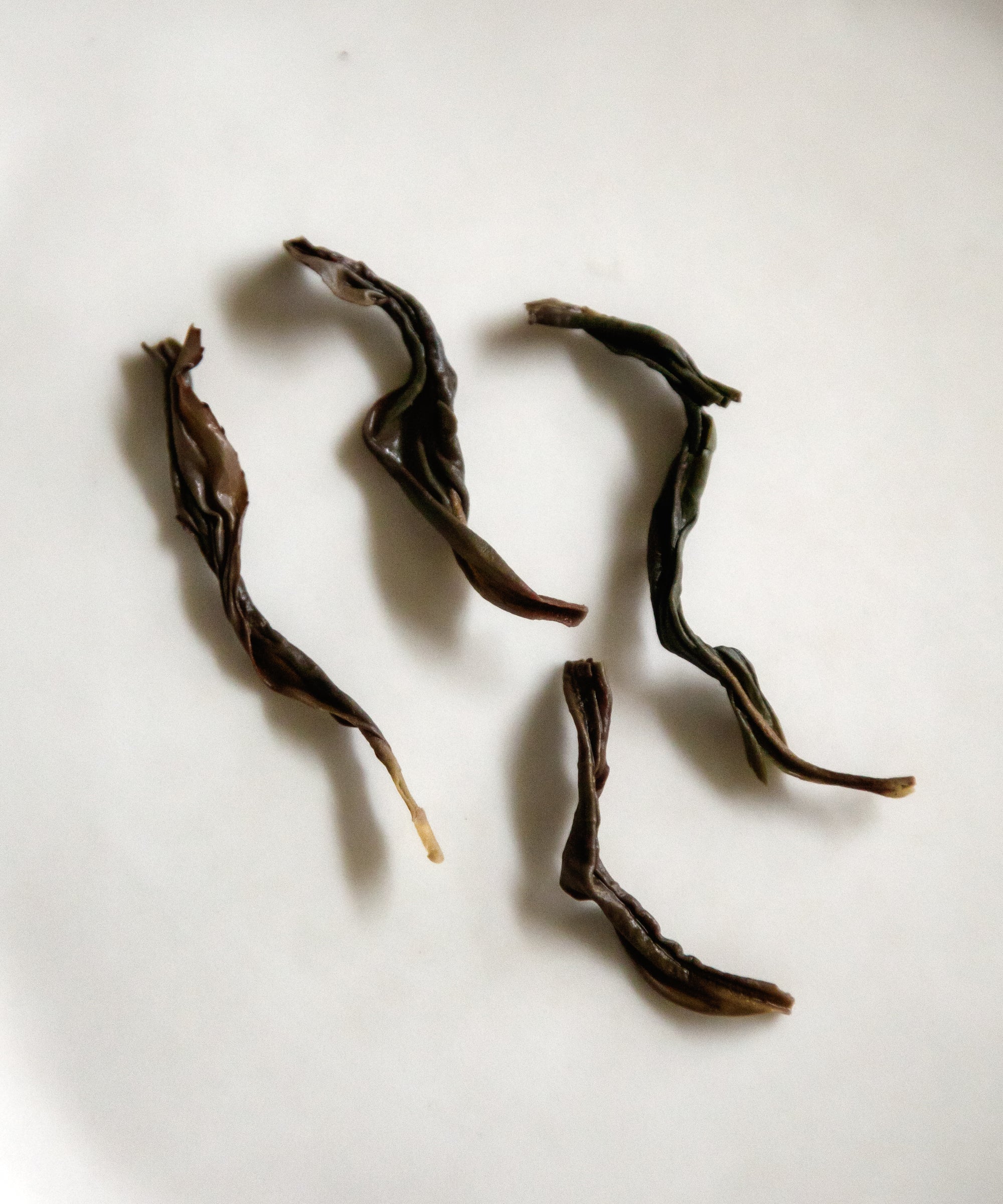 Old Grove Lingtou Baiye Phoenix oolong from Lingtou Village — old grove dancong with honey and floral notes, Chaozhou