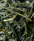 Sencha Tsuyu Hikari by Kakuda Seicha — single varietal sencha from Oku-Yame, Fukuoka