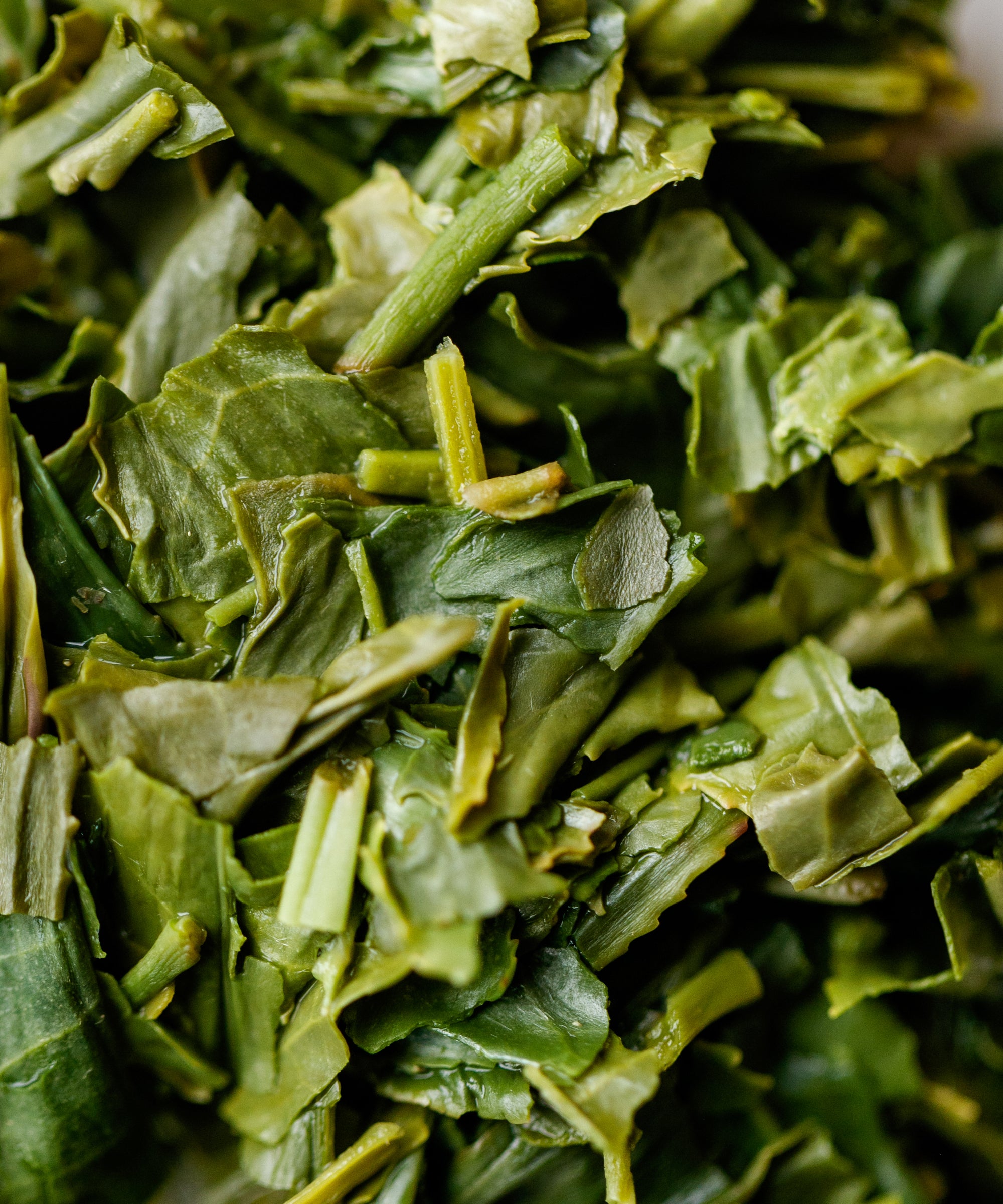 Sencha Tsuyu Hikari