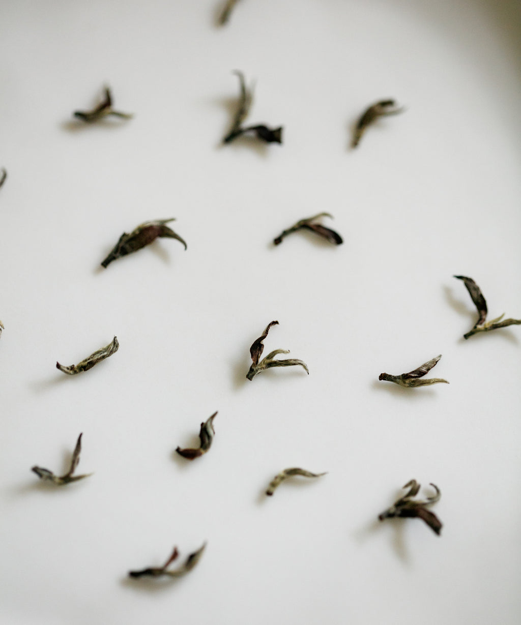 Oriental Beauty Gold, gold medal oolong tea from E'mei, Hsinchu, Taiwan, with spring flower and magnolia notes