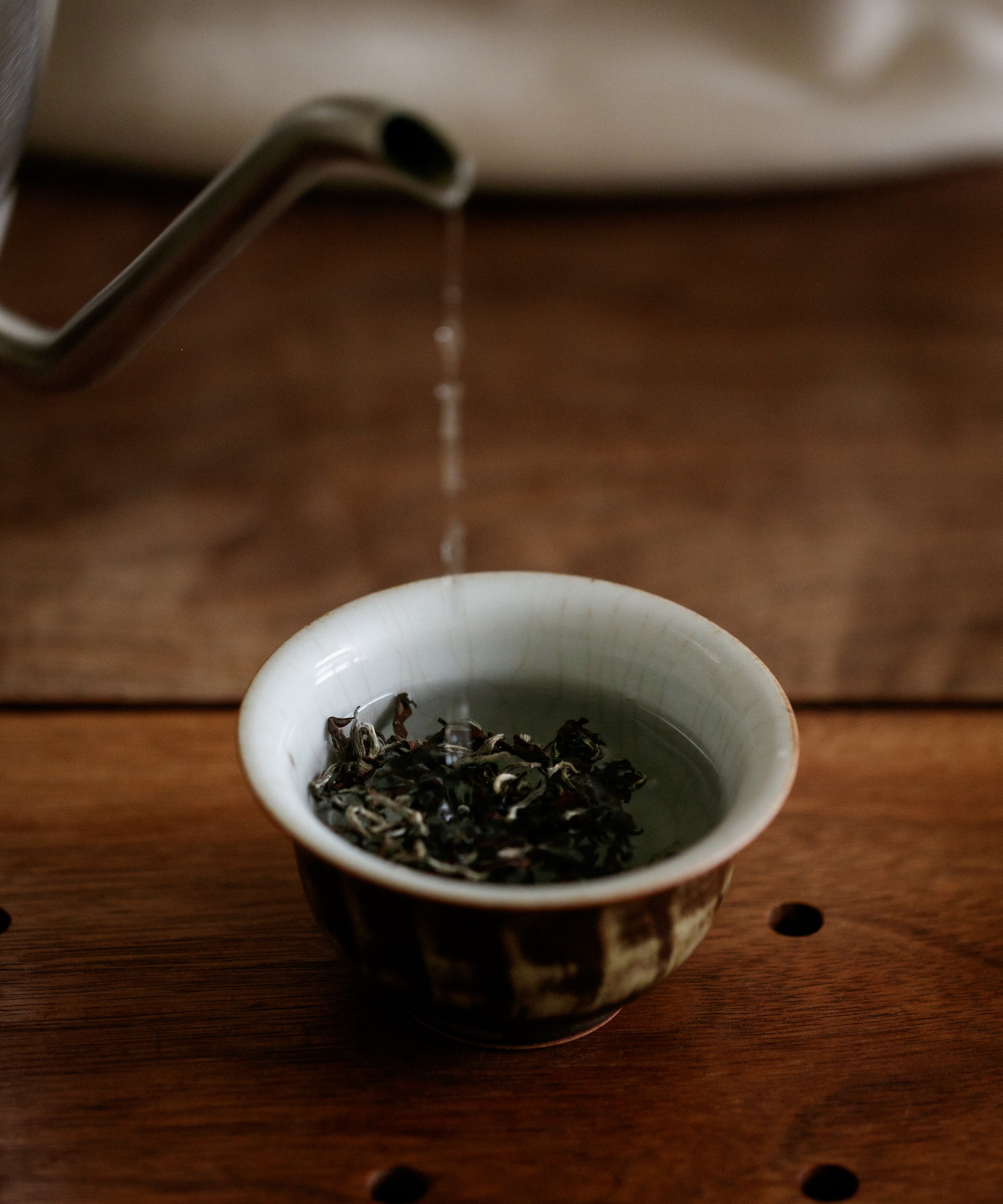 Brewing Oriental Beauty Gold in a gaiwan, insect-bitten oolong from Hsinchu, Taiwan