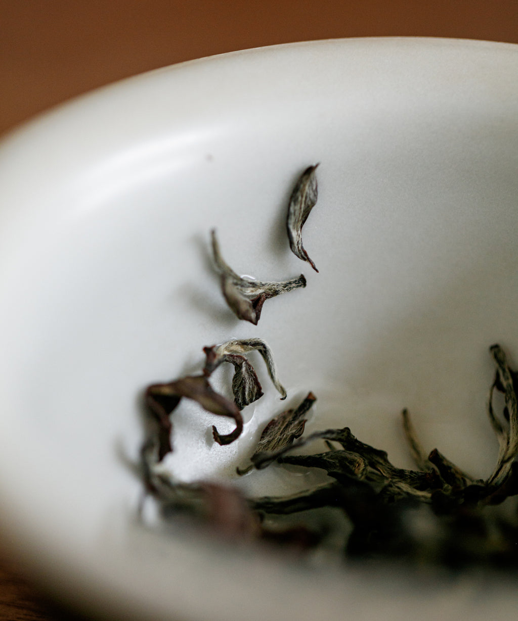 Oriental Beauty Silver apricot liquor with sweet earthiness, lily, cacao, and tobacco notes, Hsinchu