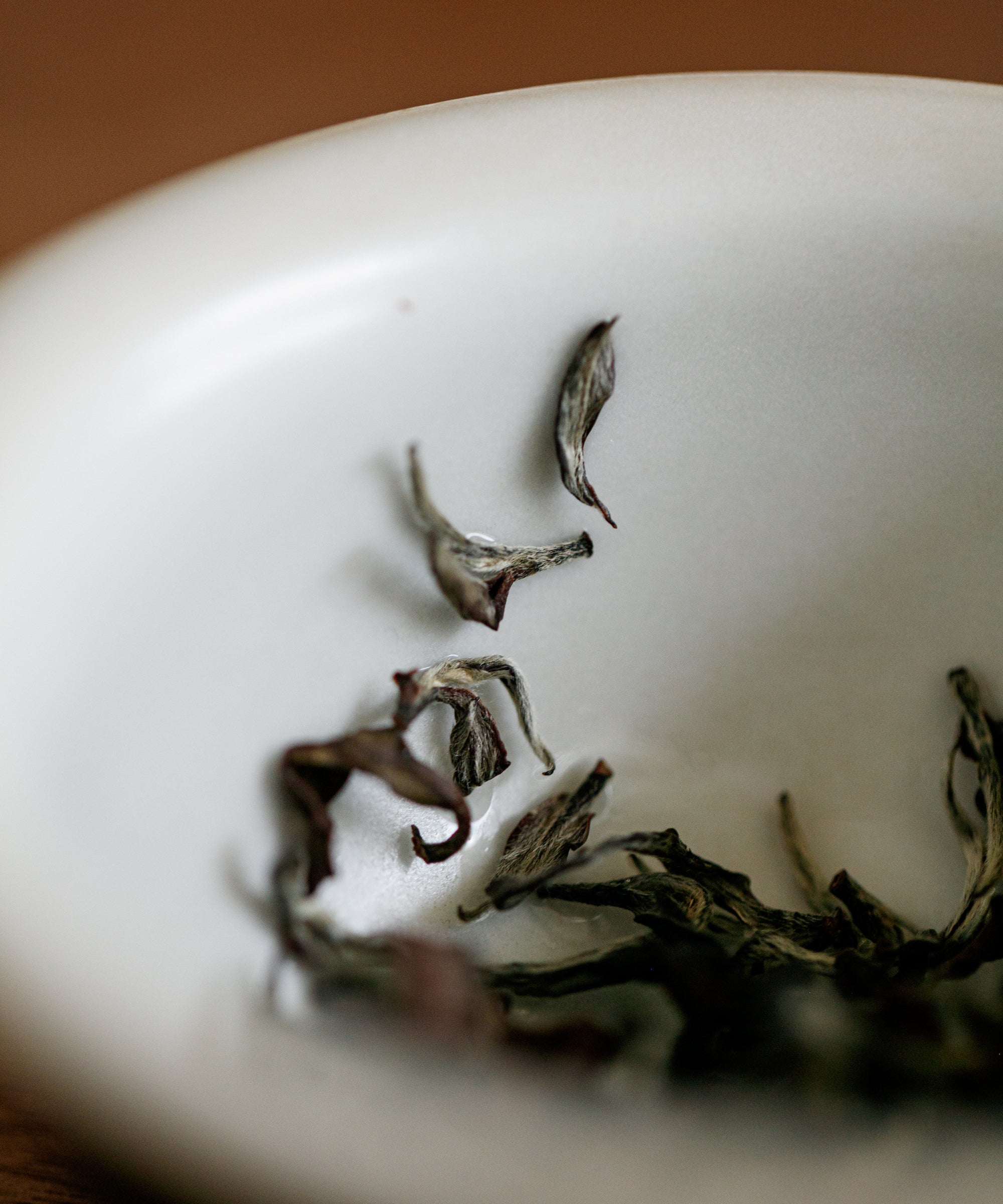 Oriental Beauty Silver apricot liquor with sweet earthiness, lily, cacao, and tobacco notes, Hsinchu