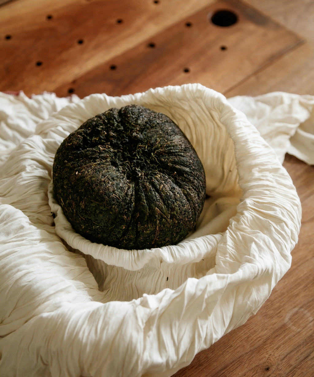 Dinosaur Egg hand-rolled Golden Cassia oolong by Master Lin Zhenwen — charcoal roasted Anxi heritage tea, fruity and floral