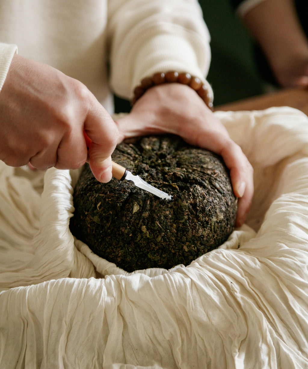 Brewing Dinosaur Egg oolong in gaiwan — only 10-12 eggs crafted per year by Master Lin