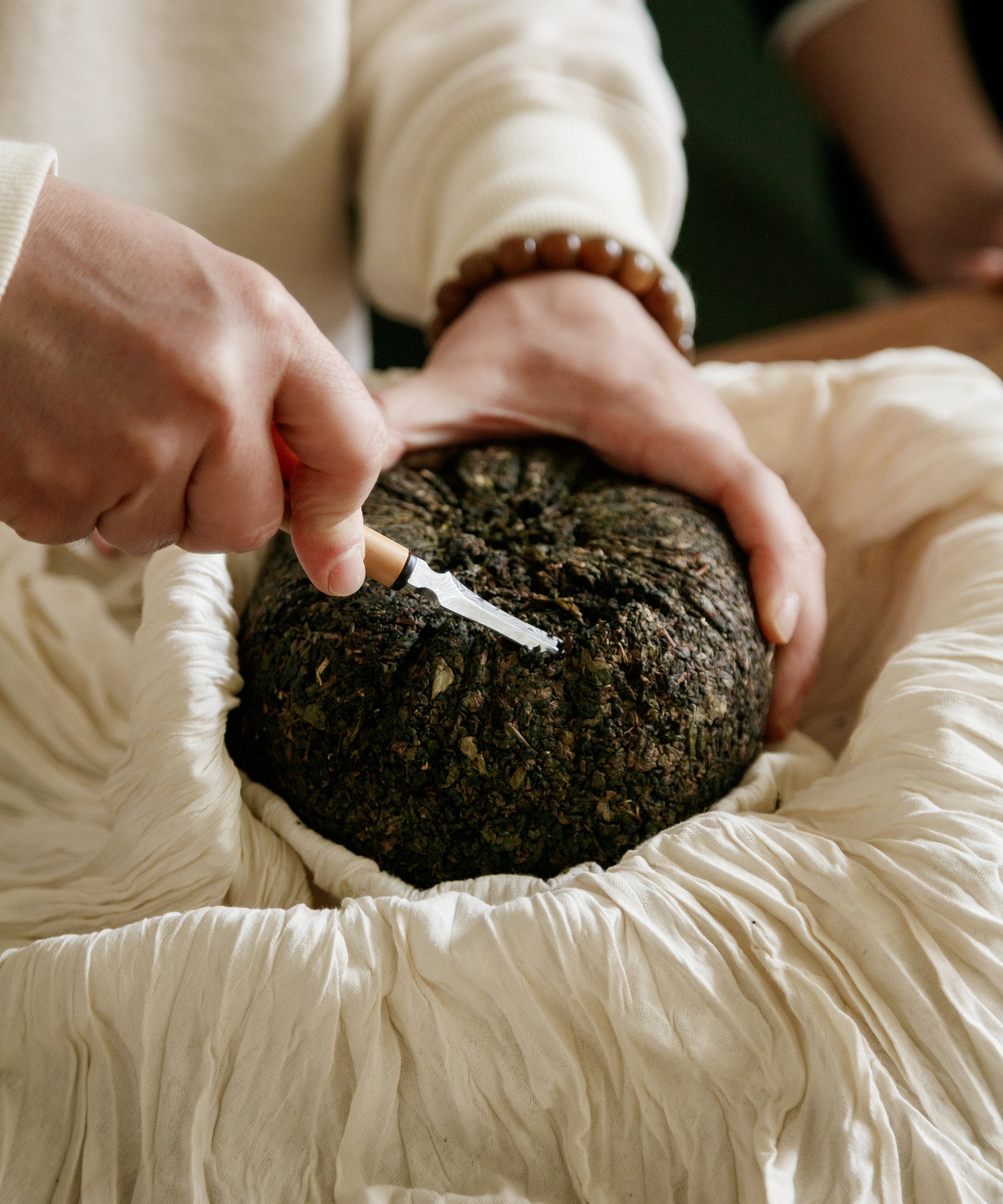 Brewing Dinosaur Egg oolong in gaiwan — only 10-12 eggs crafted per year by Master Lin