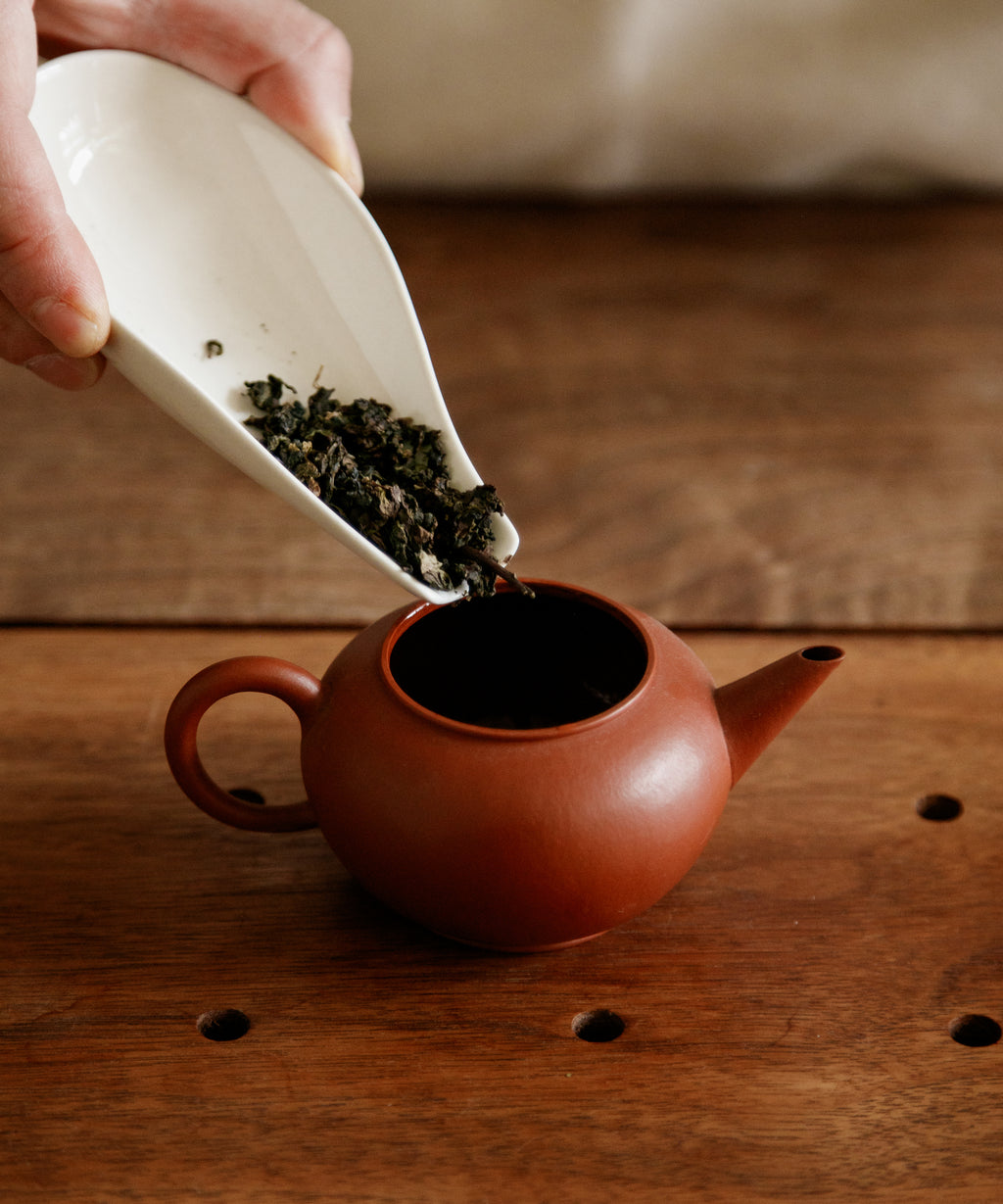 Dinosaur Egg oolong wet leaves after brewing — hand-rolled Anxi oolong unfurling through infusions