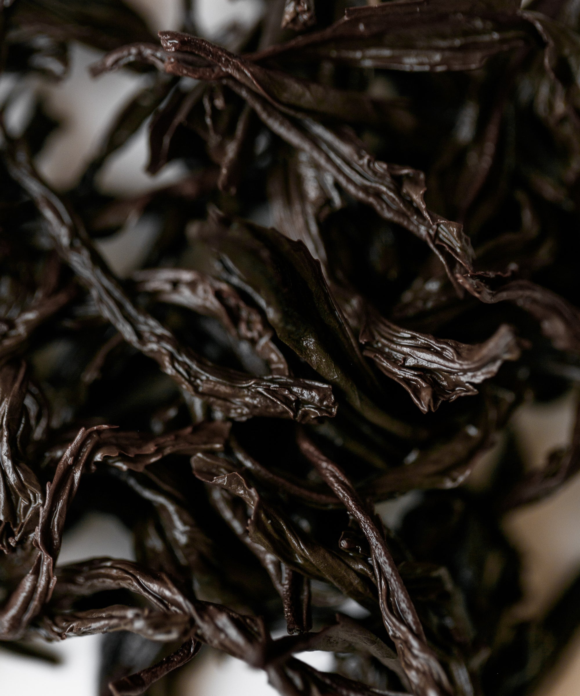 Wet Lapsang Souchong 2012 leaves after brewing, slow-smoked in a 1930s pine smokehouse