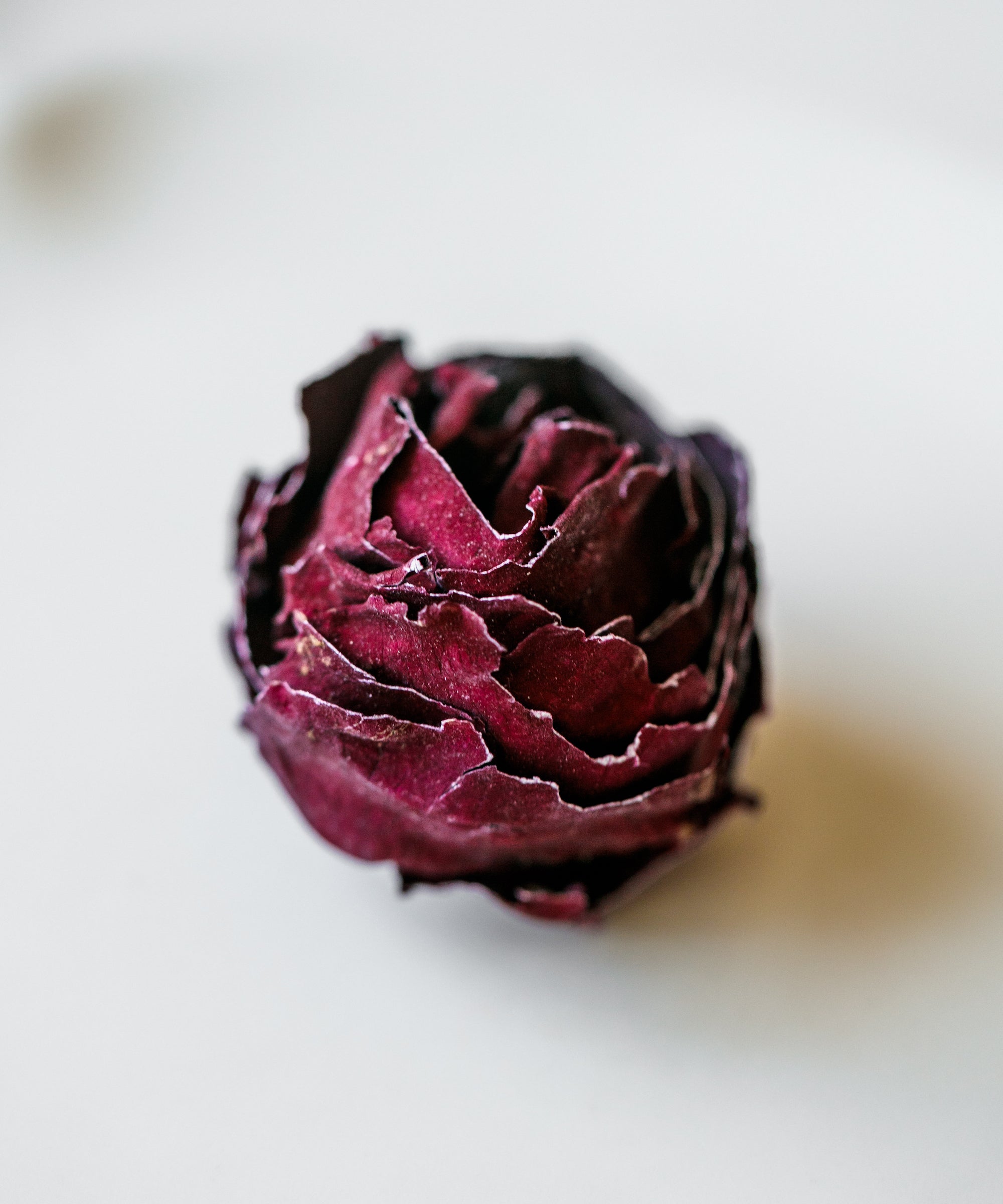 Crimson rose buds in a glass brewing vessel