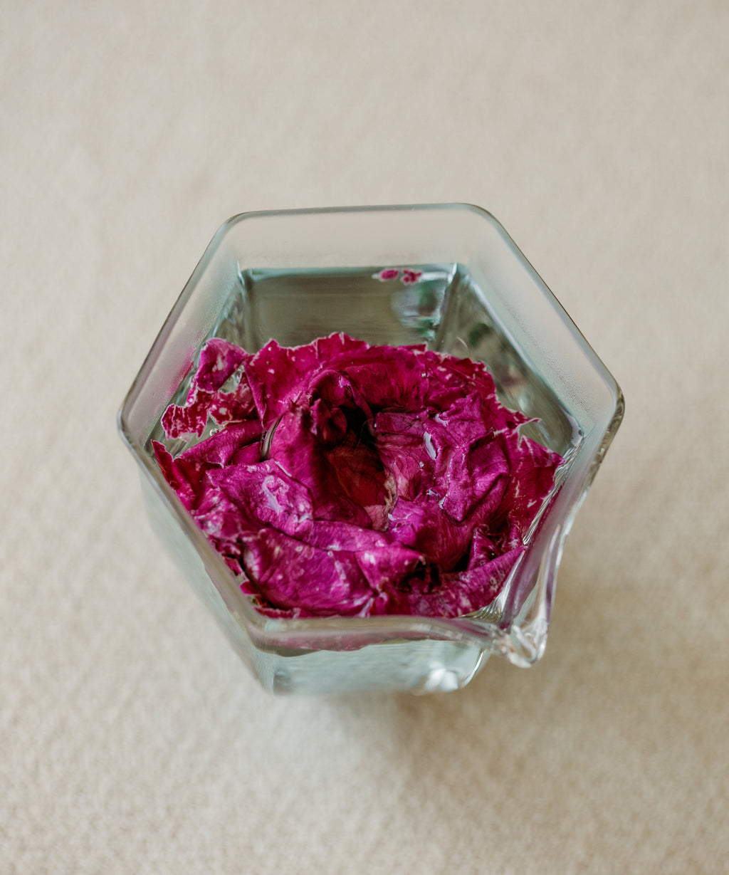 Organic crimson roses steeping in hot water, releasing rich color