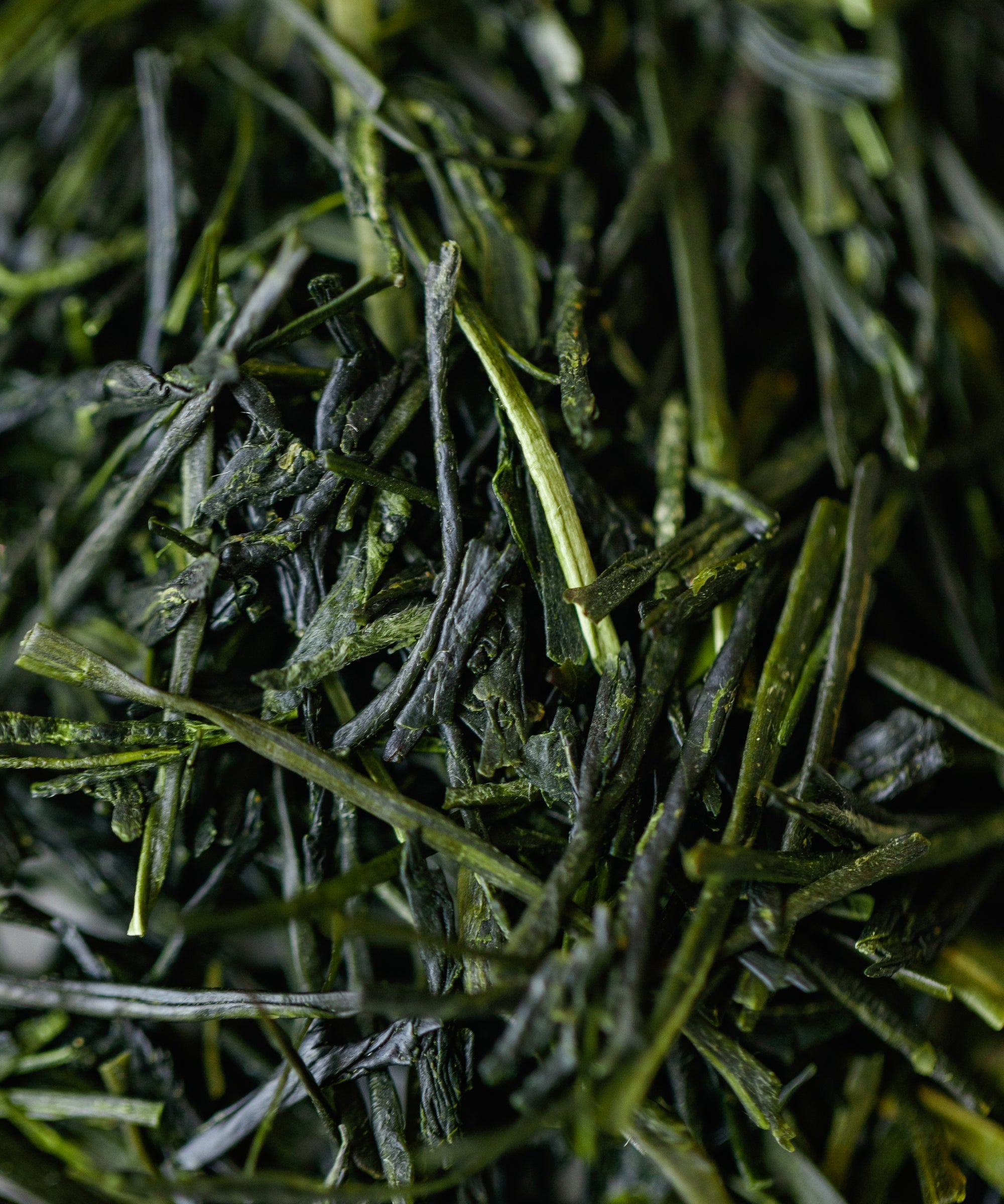 Yame Kabusecha by Kakuda Seicha from Oku-Yame, Fukuoka - net-shaded Japanese green tea