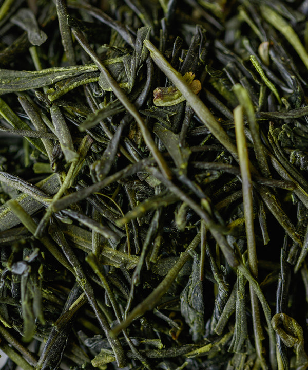 First Harvest Sencha Osumi Santaido