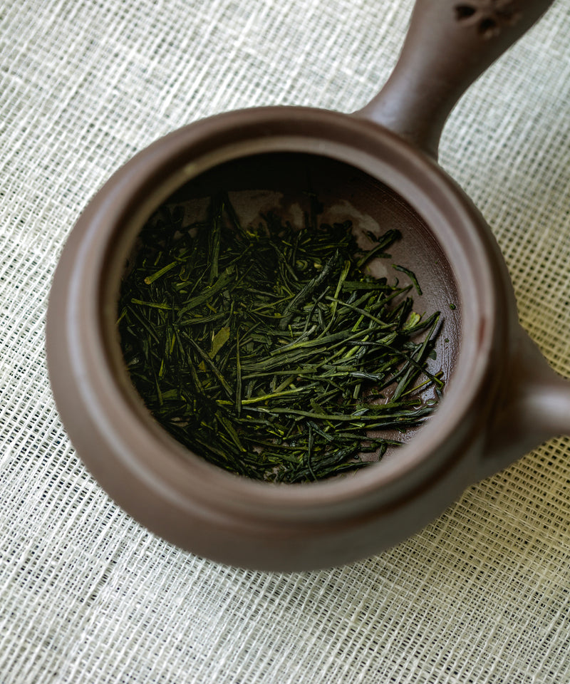 First Harvest Sencha Osumi Santaido