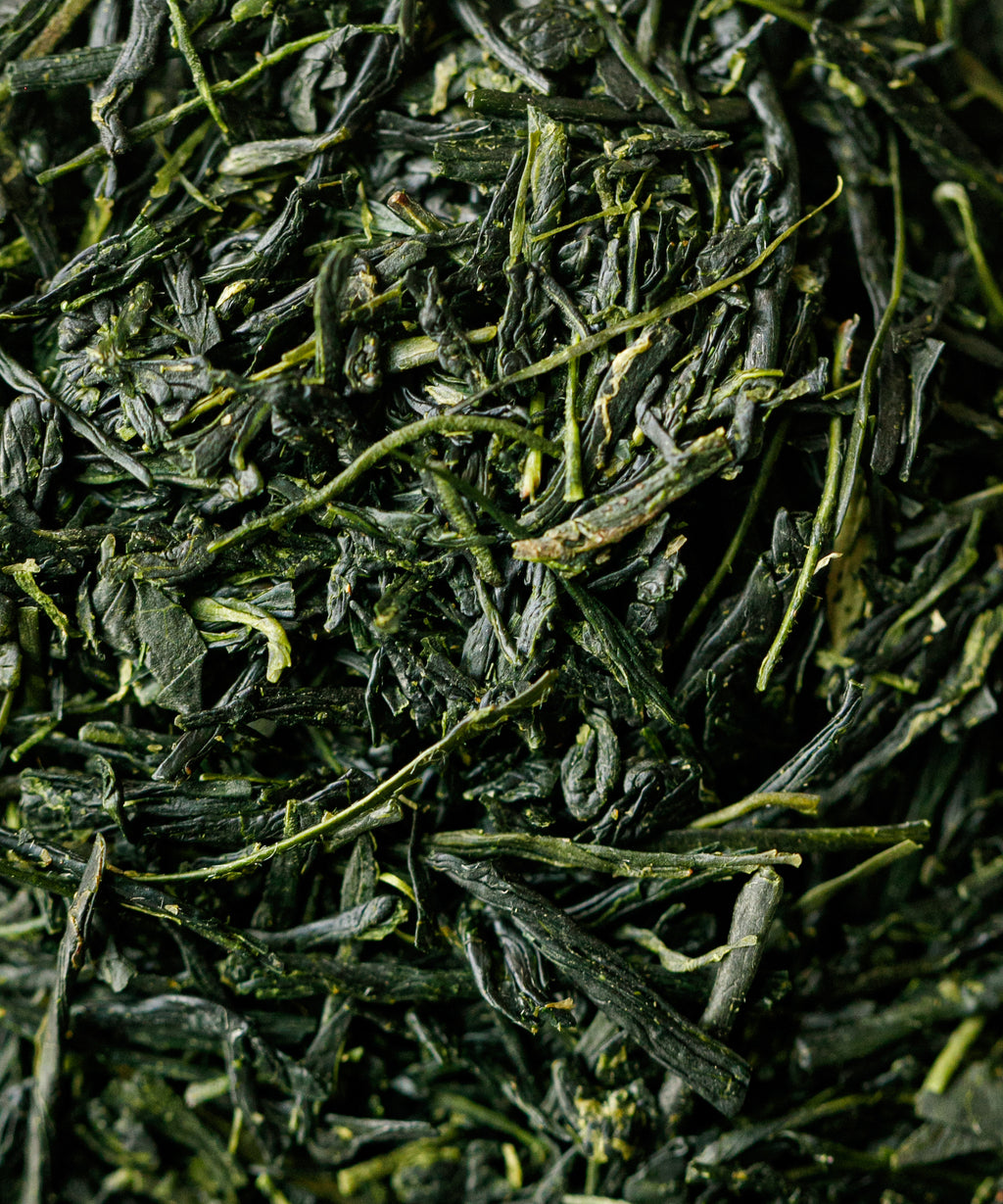 Yame Gyokuro Sen leaves from Yame, Fukuoka - traditional Japanese shade-grown gyokuro
