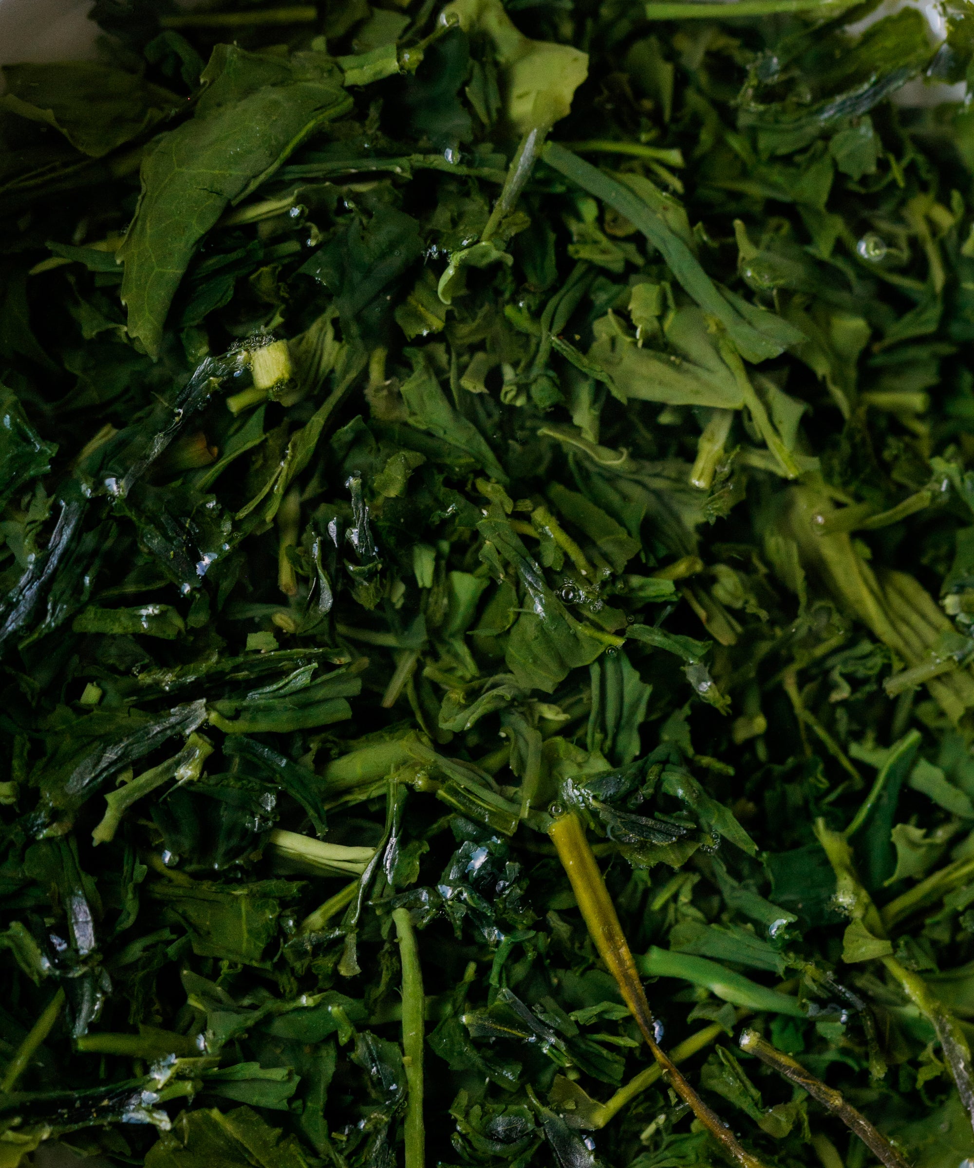 Yame Gyokuro Sen in a small hōhin ready for brewing