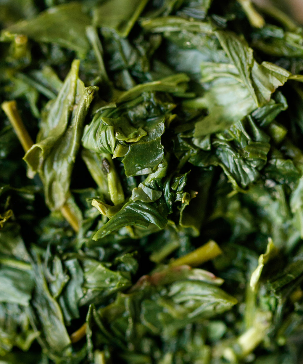 Brewed Yame Gyokuro Sen showing opaque green liquor with grassy character