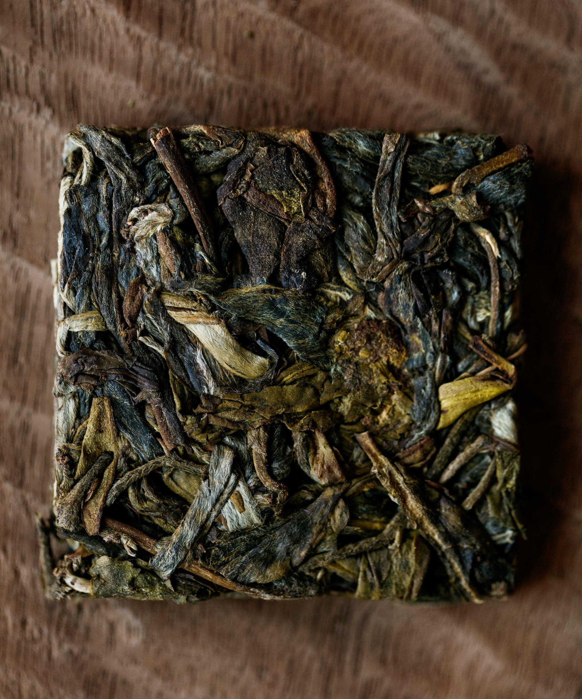 Brewing Wuliangshan Single Groves — Tang Wang's single grove sheng pu'erh, Wuliangshan, Yunnan