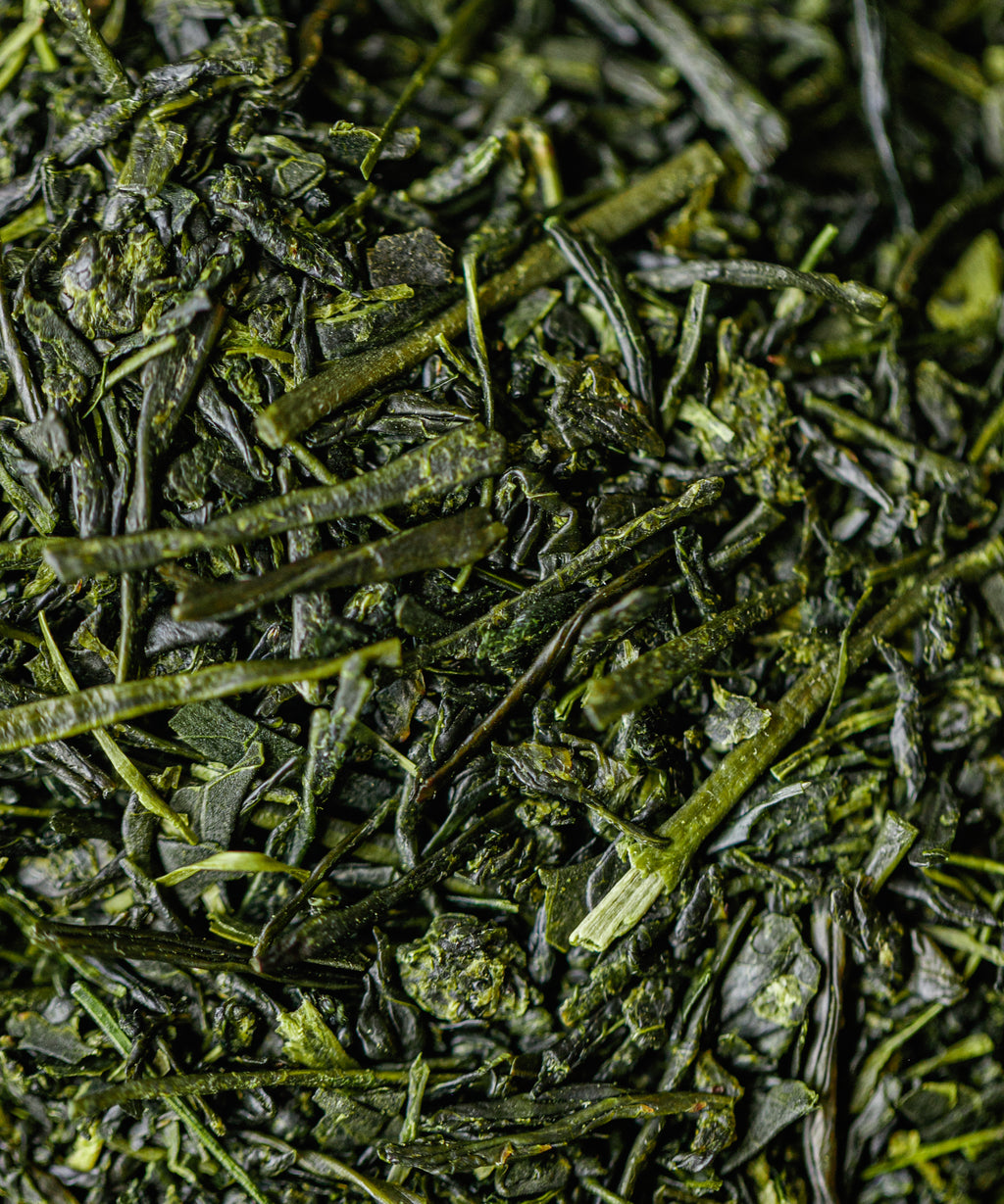 Yame Sencha Shinsui by Kakuda Seicha from Oku-Yame, Fukuoka - first-picking highest-grade sencha