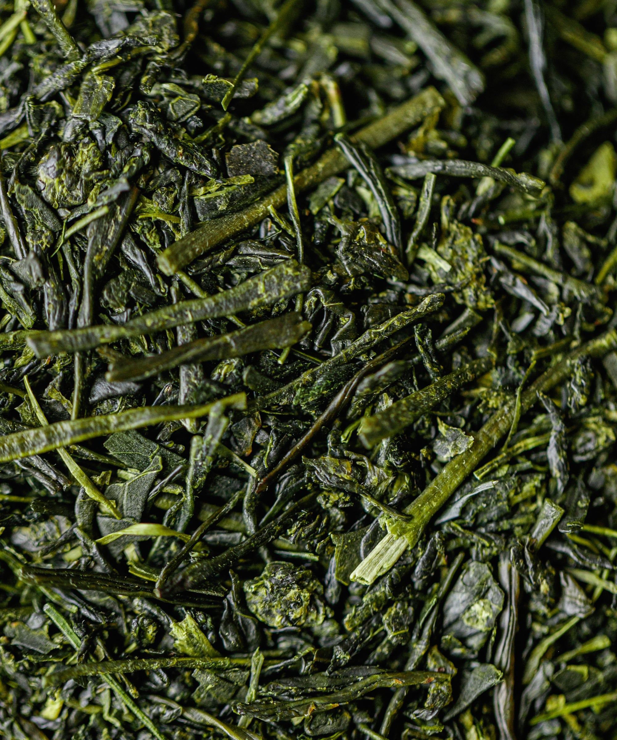 Yame Sencha Shinsui by Kakuda Seicha from Oku-Yame, Fukuoka - first-picking highest-grade sencha