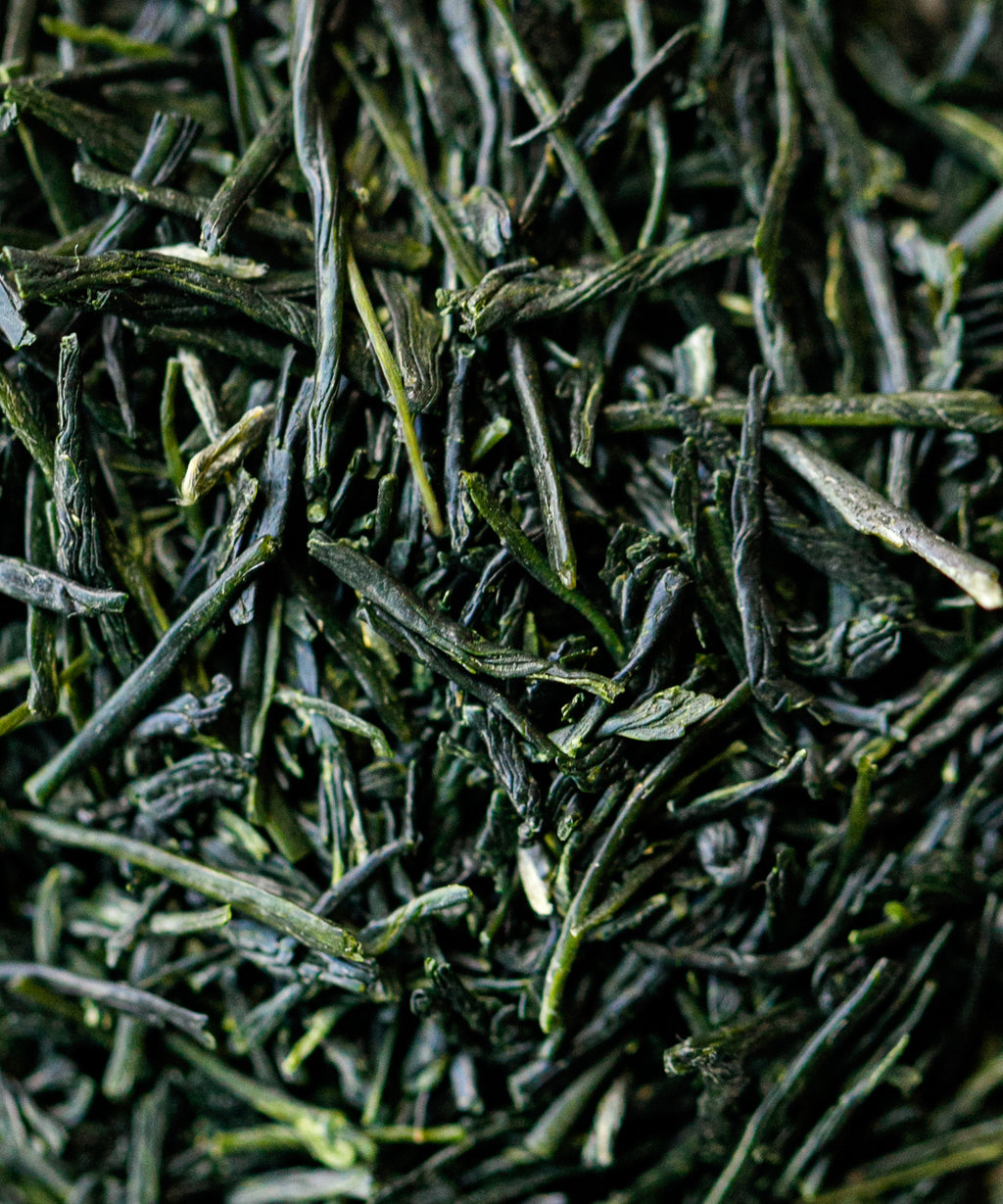 Uji Gyokuro Takumishin from Joyo City and Kyotanabe, Uji Kyoto - aged 1 year, Ujihikari/Saemidori/Okumidori blend