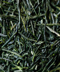 Uji Gyokuro Takumishin from Joyo City and Kyotanabe, Uji Kyoto - aged 1 year, Ujihikari/Saemidori/Okumidori blend