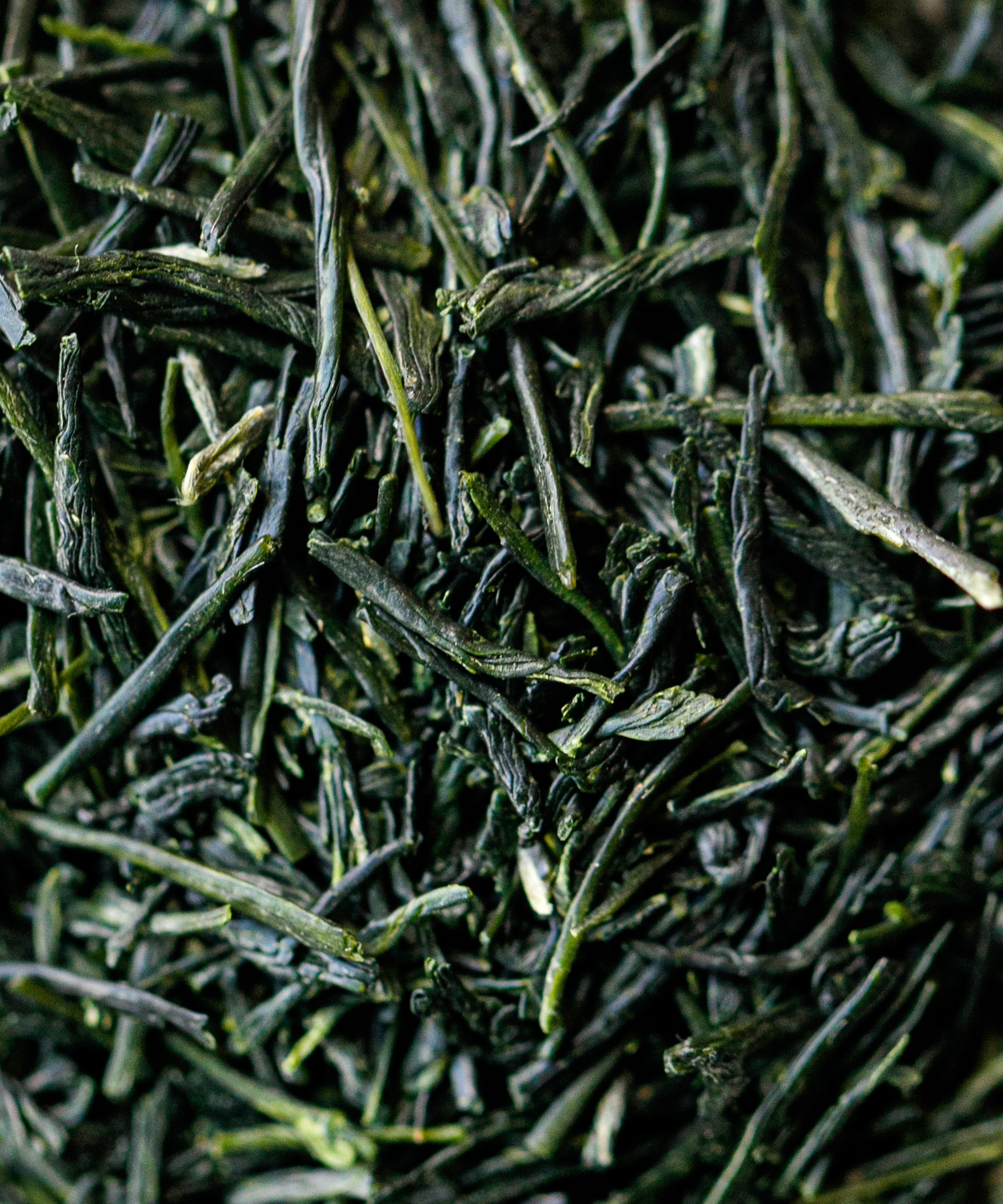 Uji Gyokuro Takumishin from Joyo City and Kyotanabe, Uji Kyoto - aged 1 year, Ujihikari/Saemidori/Okumidori blend