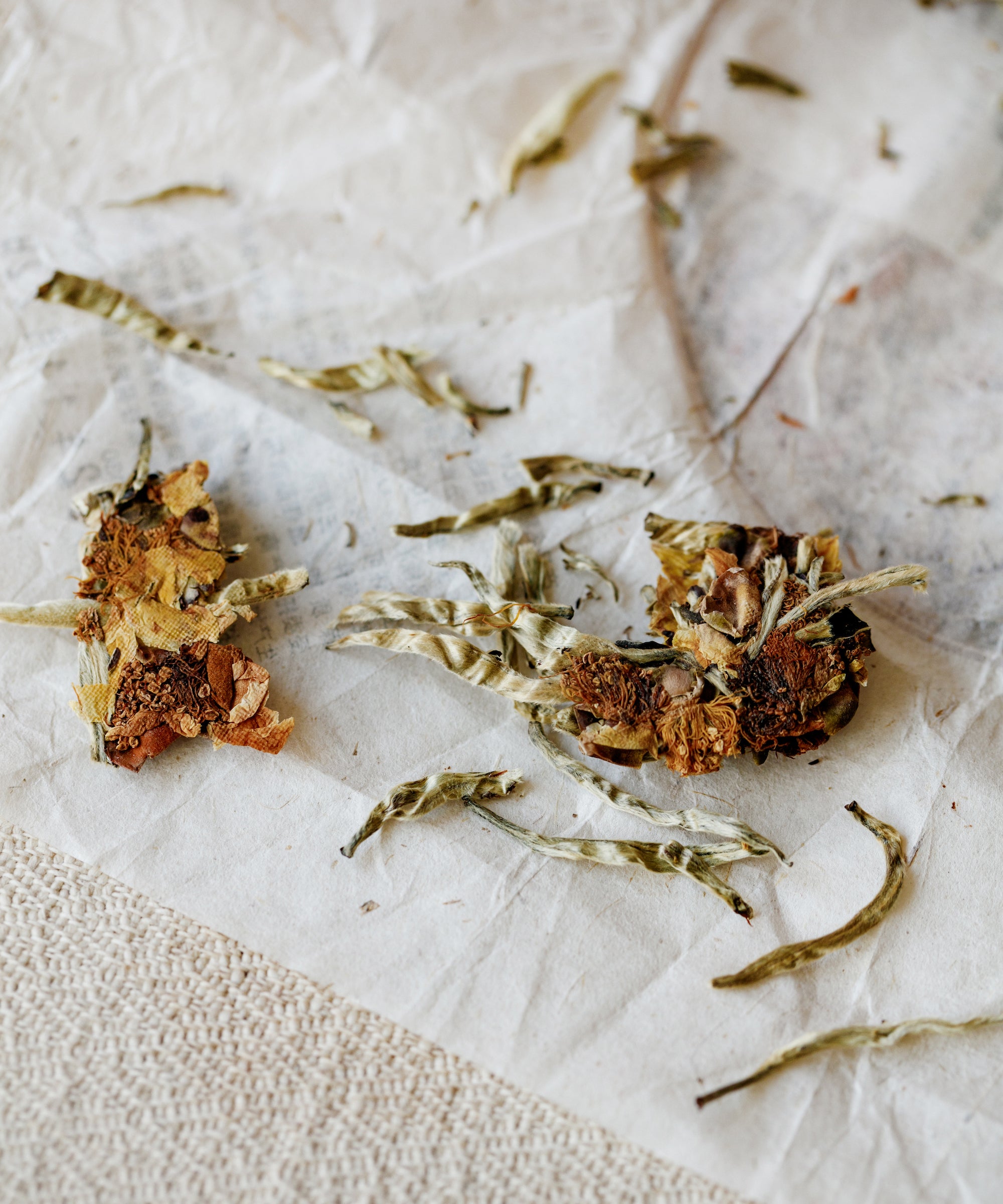 Silver Needle & Tea Blossoms pressed cake angle showing surface texture