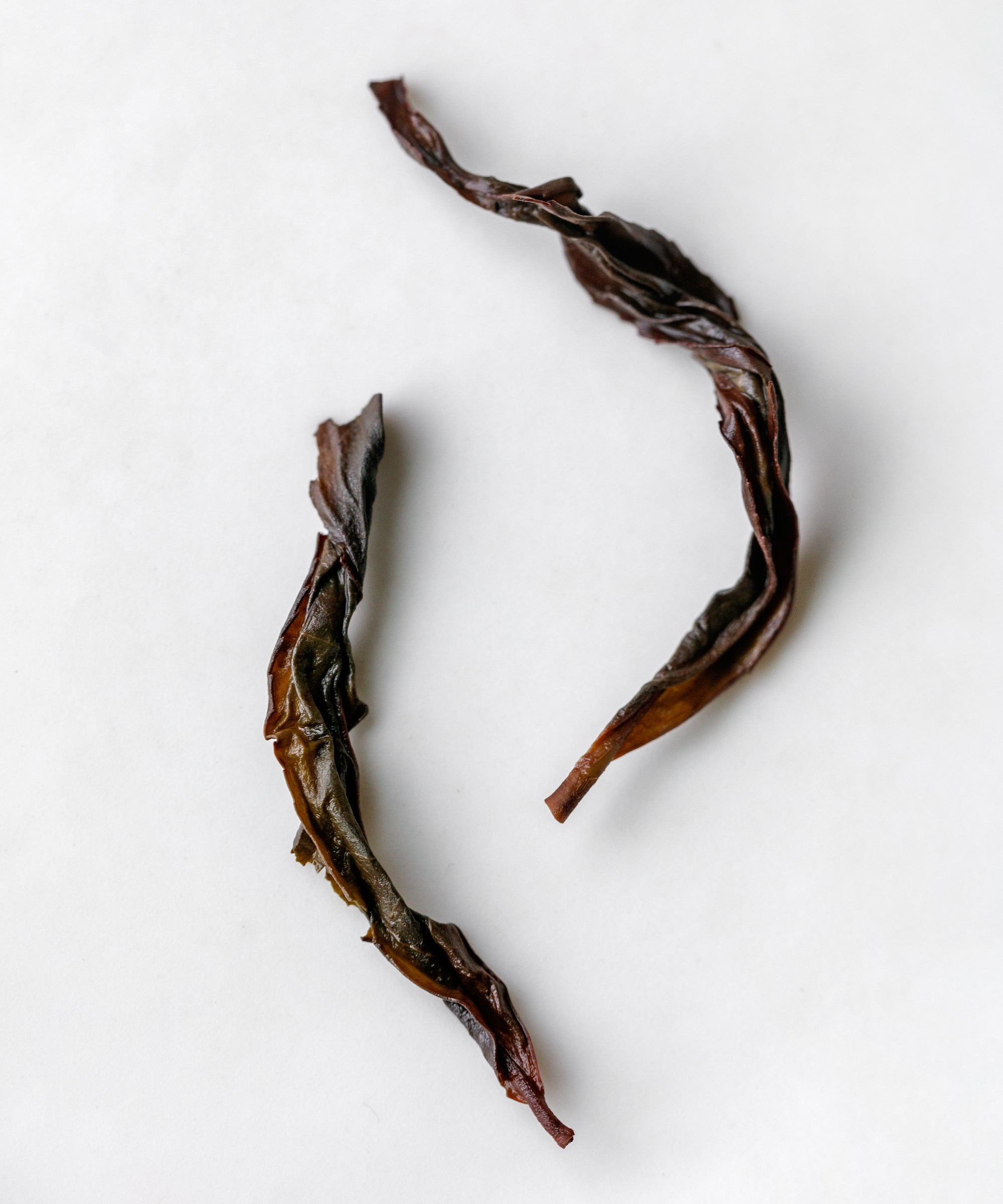 Honey Orchid Phoenix oolong from Yinshui Cave, Dazhi Mountain — lychee charcoal roasted, Chaozhou, Guangdong
