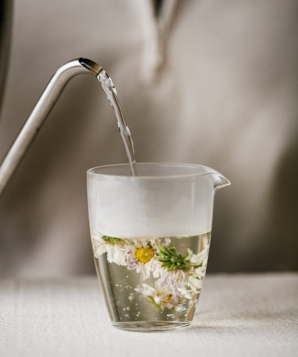 Brewing Wild Purple Chrysanthemum, purple-tinted flowers expanding in a carafe, Hangzhou, Zhejiang